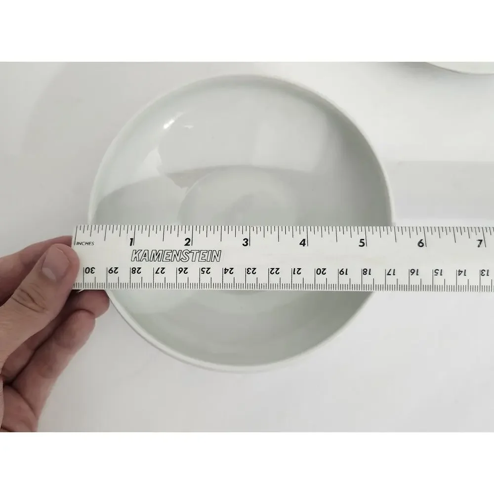 Haviland Limoges ​this exquisite
